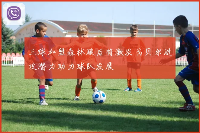 三球加盟森林狼后将激发戈贝尔进攻潜力助力球队发展